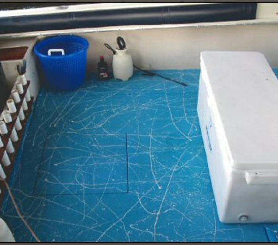 Spray in Boat Liner Protect Boats and Trailers Speedliner
